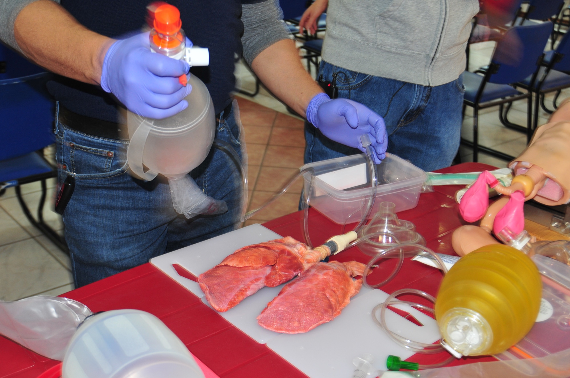 Práctica real del curso DAC: EMS en BIOSER, imagen 2